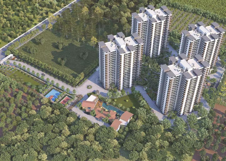 Urban Forest thumbnail 3