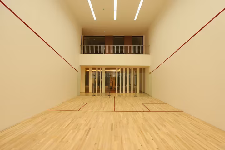 Purva Palmbeach thumbnail 11