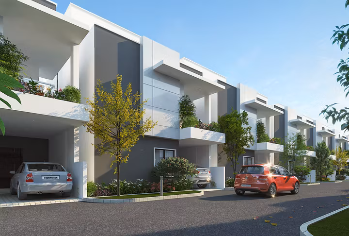 KONIG ORANGE COUNTY thumbnail 2
