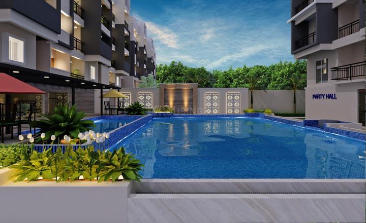 ASN Gardenia thumbnail 10