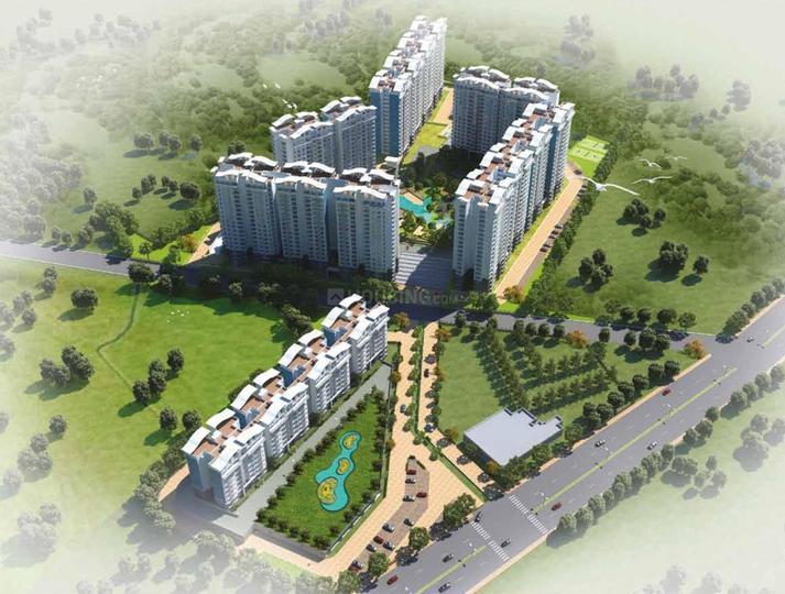 Purva Palmbeach thumbnail 4