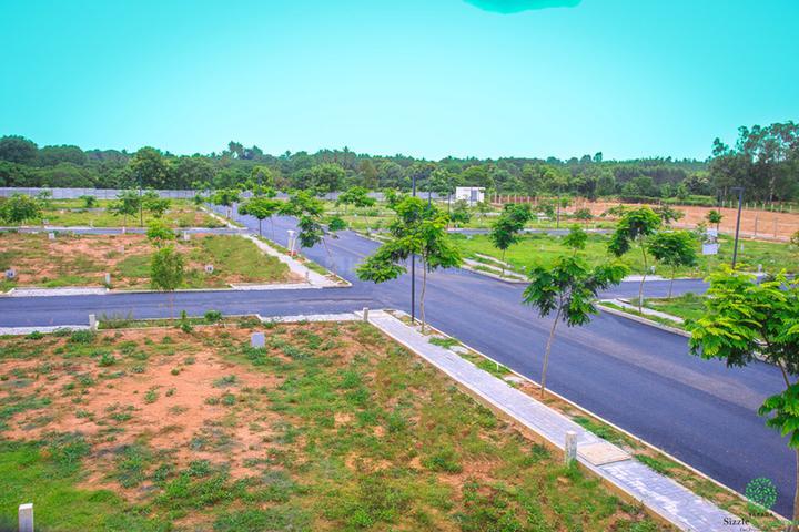 VARADA SIZZLE EVERGREEN thumbnail 4