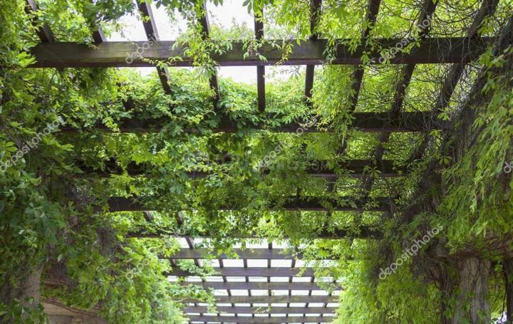Godrej Air thumbnail 12