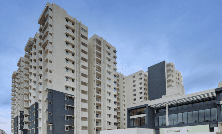 SHRIRAM LUXOR thumbnail 6
