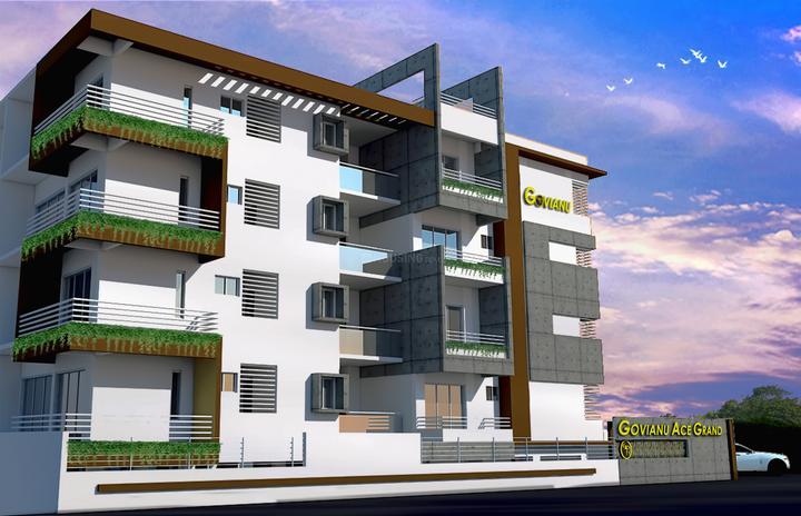 GOVIANU ACE GRAND thumbnail 5