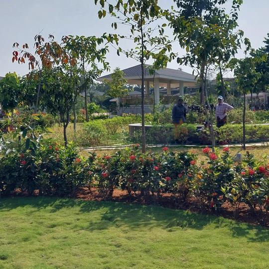 Chaithanya SAMARTH thumbnail 9