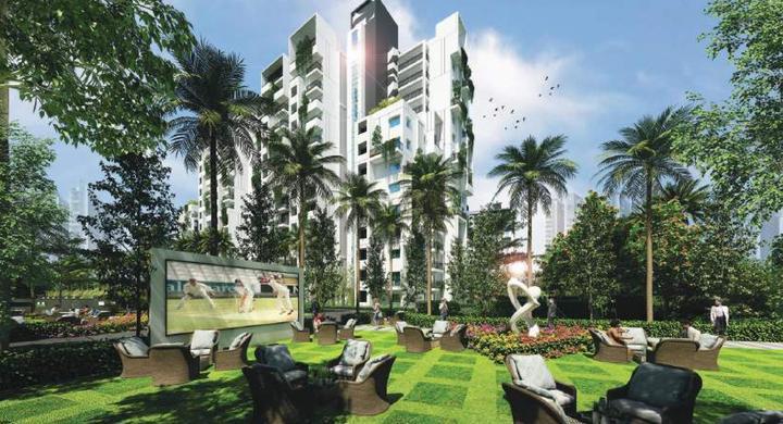 MYHNA ORCHID thumbnail 8