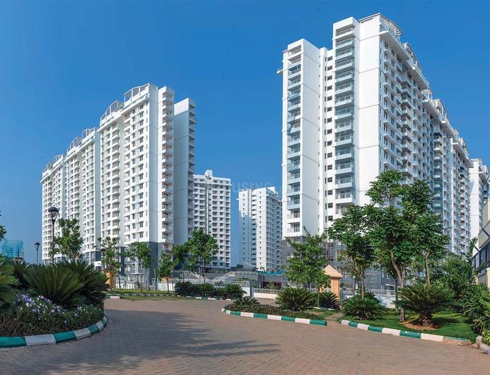 Purva Palmbeach thumbnail 9