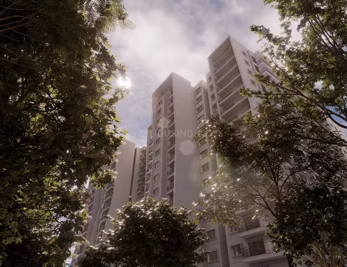 DSR THE COURTYARD thumbnail 5