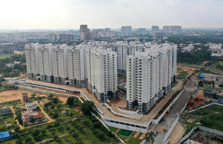Purva Palmbeach thumbnail 10