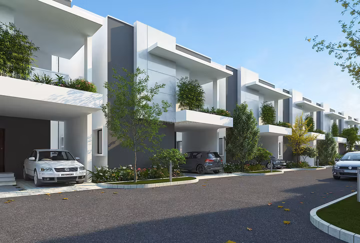 KONIG ORANGE COUNTY — image 1