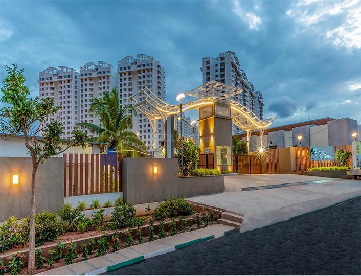 Purva Palmbeach thumbnail 2