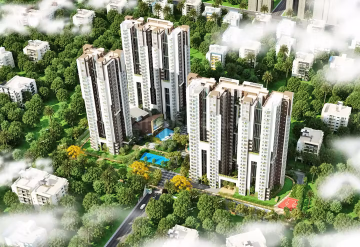 MYHNA MAPLE thumbnail 2