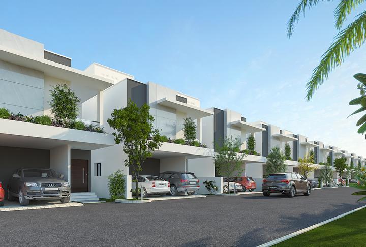 KONIG ORANGE COUNTY thumbnail 4