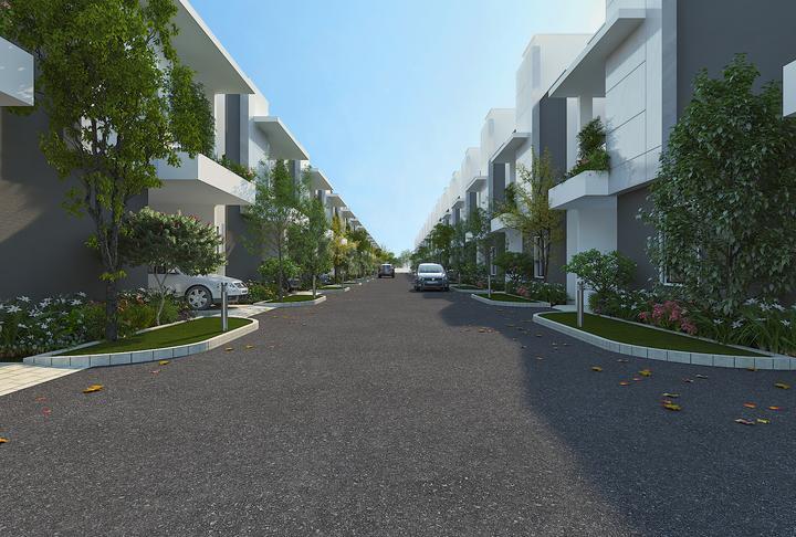 KONIG ORANGE COUNTY thumbnail 5
