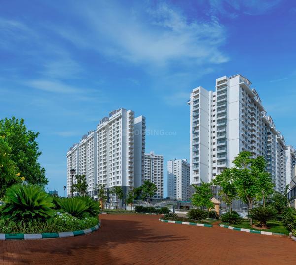 Purva Palmbeach thumbnail 6