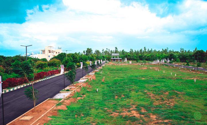 VARADA SIZZLE EVERGREEN thumbnail 5