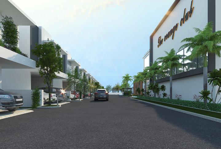 KONIG ORANGE COUNTY thumbnail 6