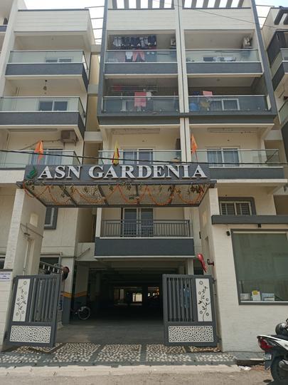ASN Gardenia thumbnail 3