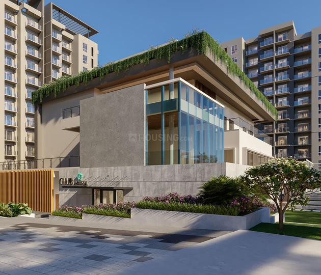 DNR Arista Phase 2 thumbnail 6