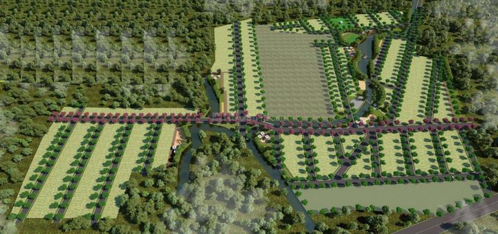 ECOSPRINGS - 1 thumbnail 5