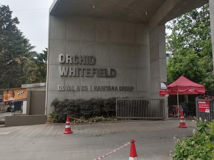 ORCHID WHITEFIELD thumbnail 10